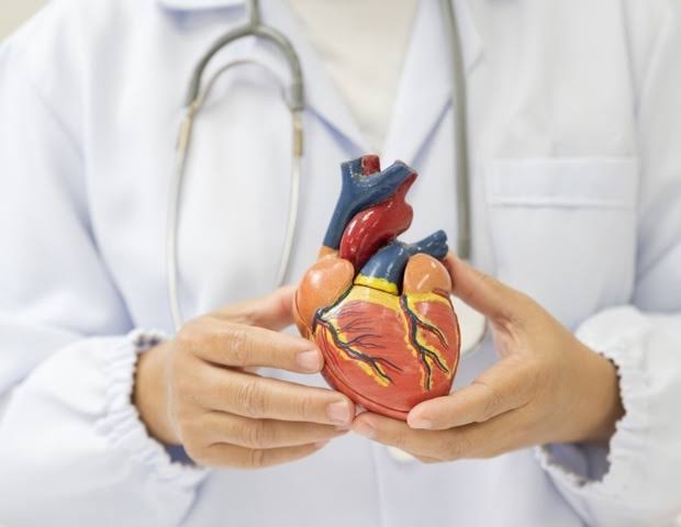 Planetary Health Diet lowers cardiovascular risk in older women