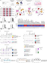 Cell-type signatures of Alzheimer’s disease shared across population groups