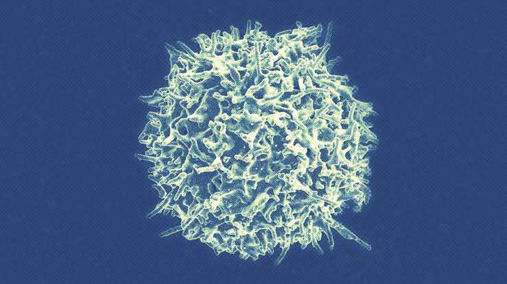 A Cancer Treatment That Does More Than Scientists Thought