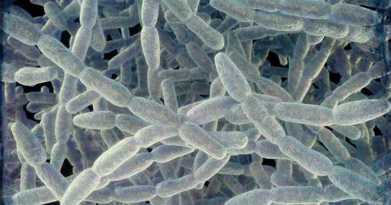 New York City now has 23 cases of Legionnaires' disease on the Upper East Side, officials say