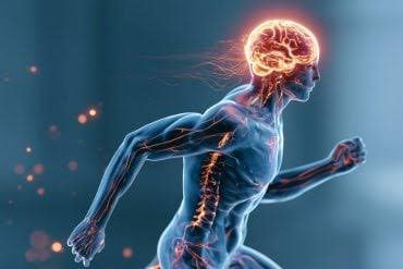 GLP-1 Therapies Silence Spontaneous Physical Activity