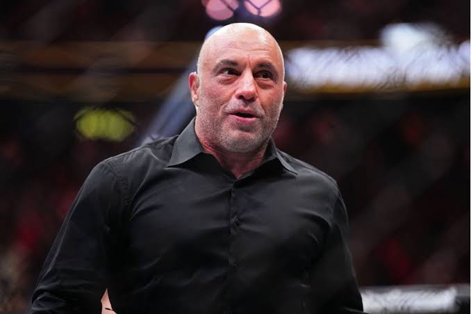 Interest in a Potentially Toxic Measles Treatment Spiked After Joe Rogan Bump, Study Says