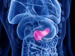 Johns Hopkins-Developed KRAS Vaccine Shows Durable Immune Response in Pancreatic Cancer Prevention Trial