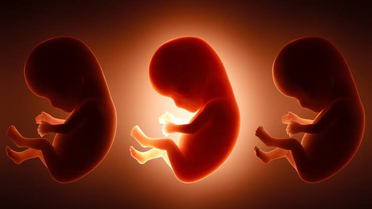 It's Not Just Mom's Diet: Father's Junk Food Habit May Shape His Unborn Baby