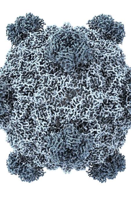 This A.I. Just Created Viruses Not Found in Nature
