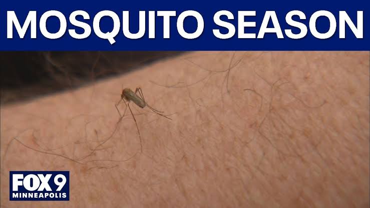 West Nile virus detected in mosquitoes in 3 Minnesota counties