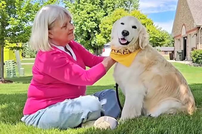 Couple Says Their Golden Retriever Became a Caregiver After Wife’s Alzheimer’s Diagnosis