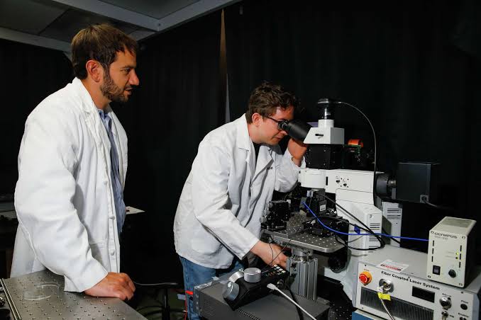 A tiny eye implant invented by a Stanford scientist is helping blind people read again