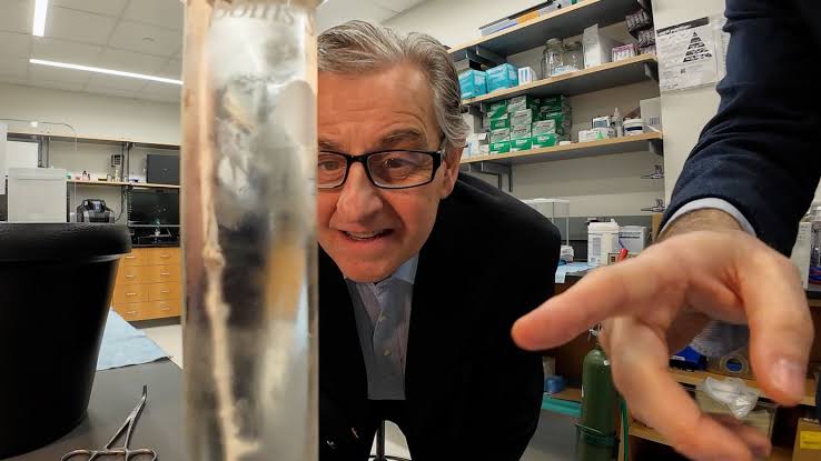 A baby died in this neurosurgeon’s arms. What happened next changed everything we know about inflammation