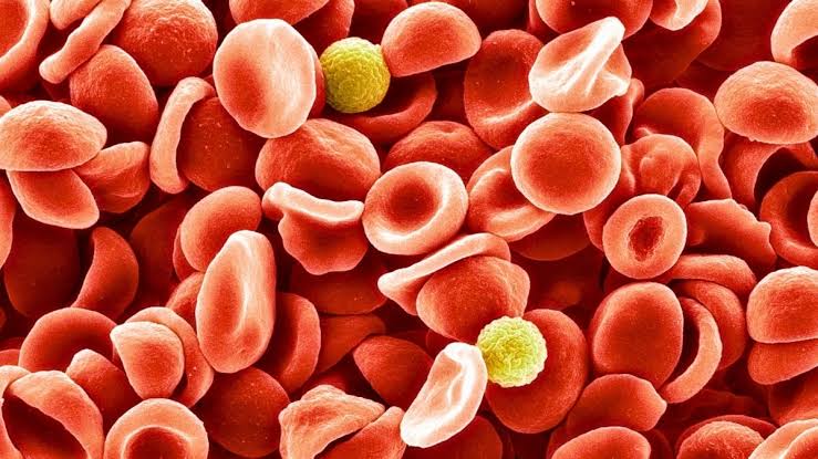 Stress Can Physically Alter Your Blood's Structure, Study Reveals