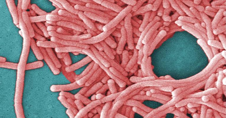 2nd death reported in Upper East Side Legionnaires' disease cluster, health officials say