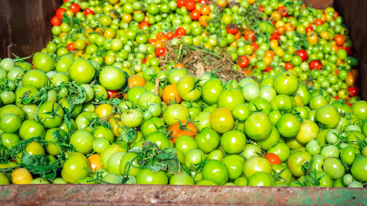 Truckloads of food are being wasted because computers won’t approve them