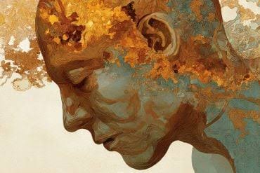Low Folate and B12 Proven to Drive Chronic Fatigue