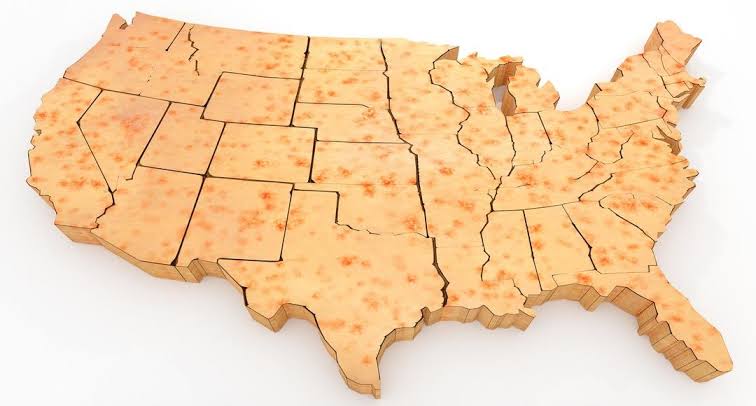 CIDRAP Op-Ed: Call it what it is—the US has lost its hold on measles elimination