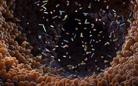 Gut microbiome changes may signal Parkinson's disease risk | UCL News - UCL