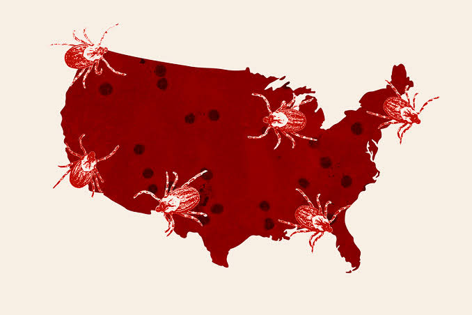A tick-borne disease has no warning rash and doctors say it's spreading across the U.S.