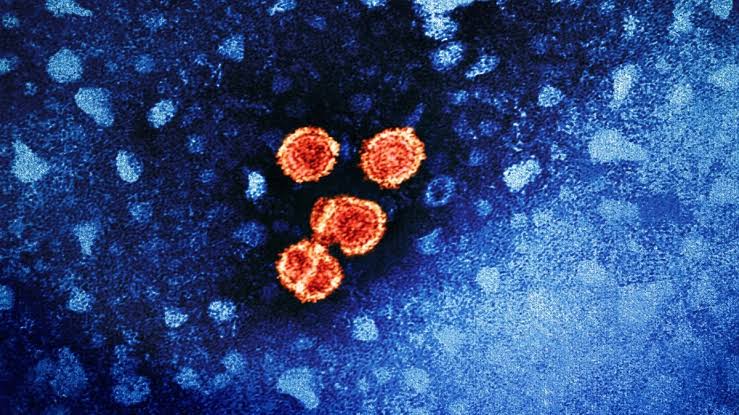 'Footprint of Death': Entirely New Way Viruses Spread Has Been Discovered
