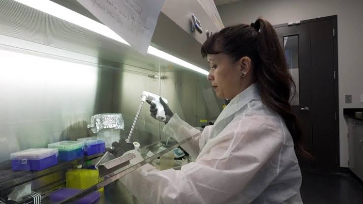 A New Treatment for Gray Hair? Researchers Are Working on an Innovative Approach