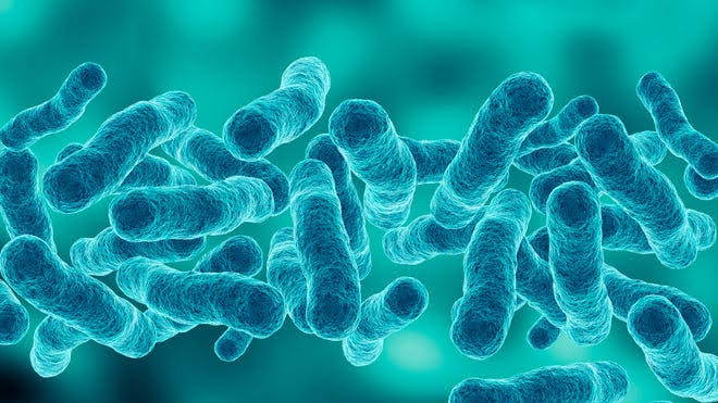 NYC 'confident' Legionnaires' disease source has been eradicated