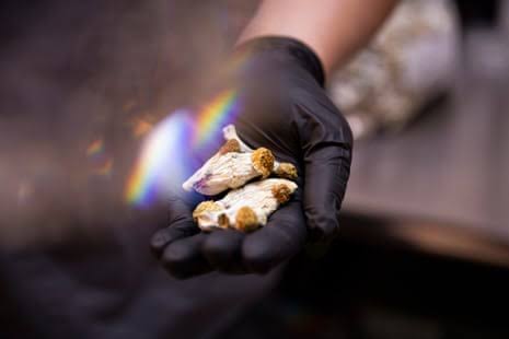 Magic mushrooms could be effective treatment for cocaine addiction, study shows
