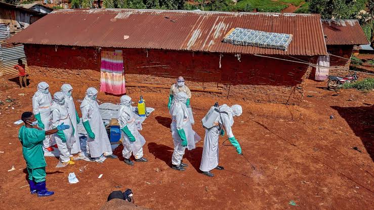 Ebola outbreak spreading in Africa is 'likely far worse' than official figures suggest: IRC