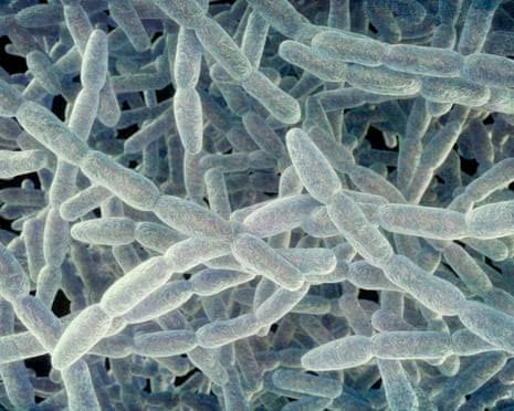 Fifth person dies in New York City amid legionnaires’ disease outbreak