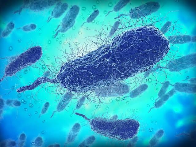 76 UES Buildings Test Positive For Legionella: See New List