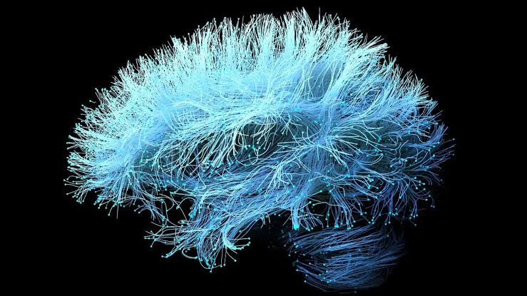 A Supplement For Joint Pain Could Accelerate Alzheimer's Memory Loss