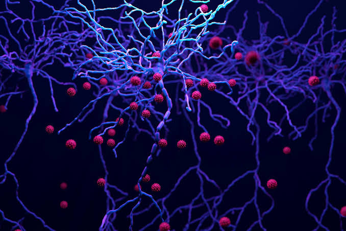 HIV enters the brain and doesn’t leave – paradoxically, drugs intended to reduce brain inflammation increase virus levels