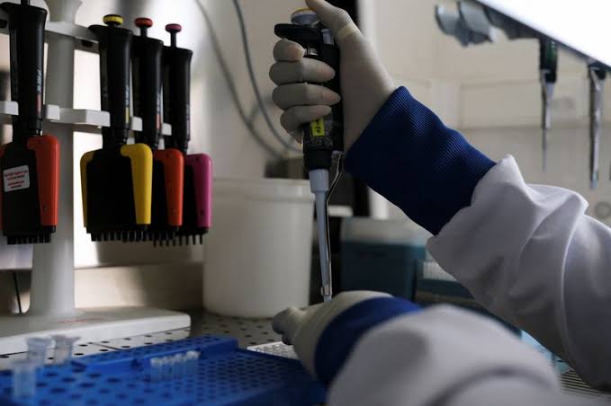 Inside an African lab that helped crack the hantavirus outbreak