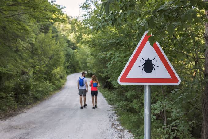 New York’s Latest Tourist? A Rare, Potentially More Severe Form of Lyme Disease