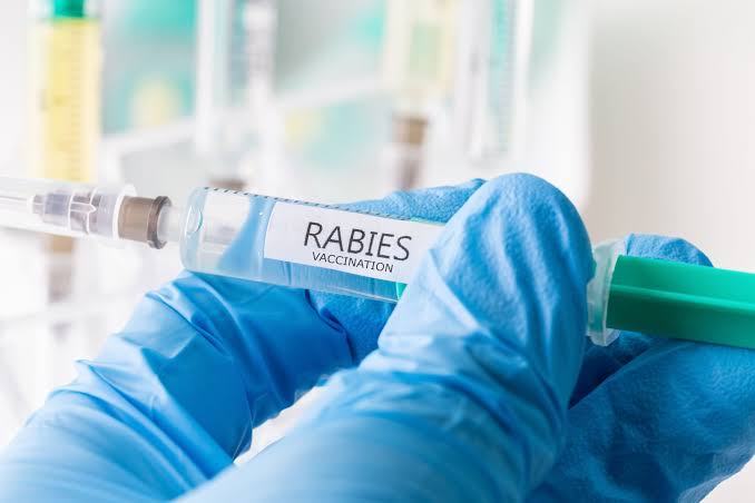 Loudoun Co. health officials on alert after cat found with rabies