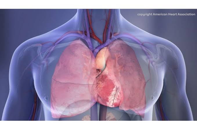 As heart, kidney and metabolic health worsen, cancer risk may rise