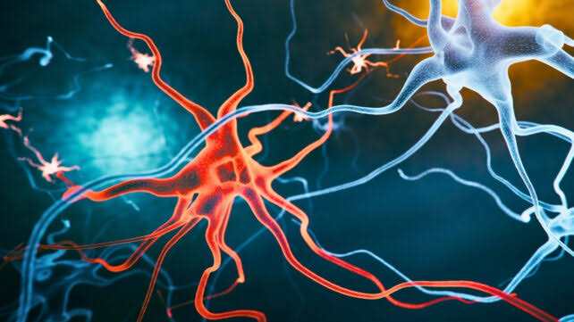 New Alzheimer's Treatment Strategy Reverses Cognitive Decline in Mice