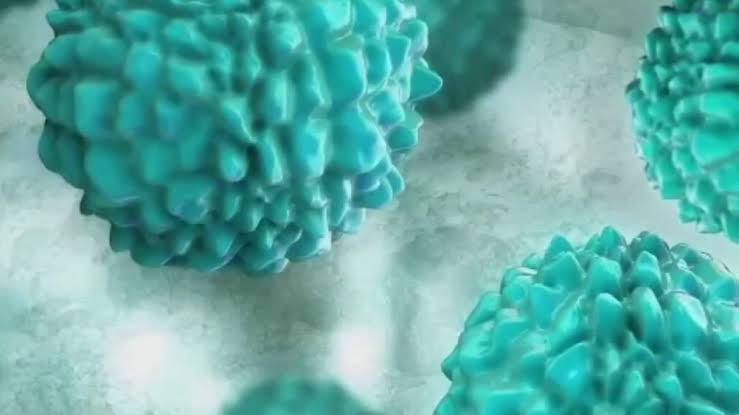 Parasite causing major stomach symptoms