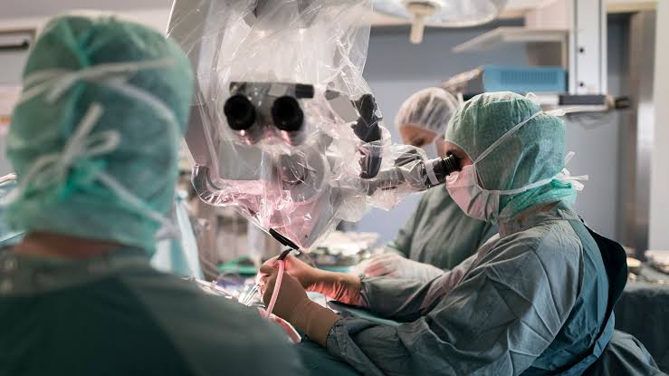 Why aren't brain transplants possible?