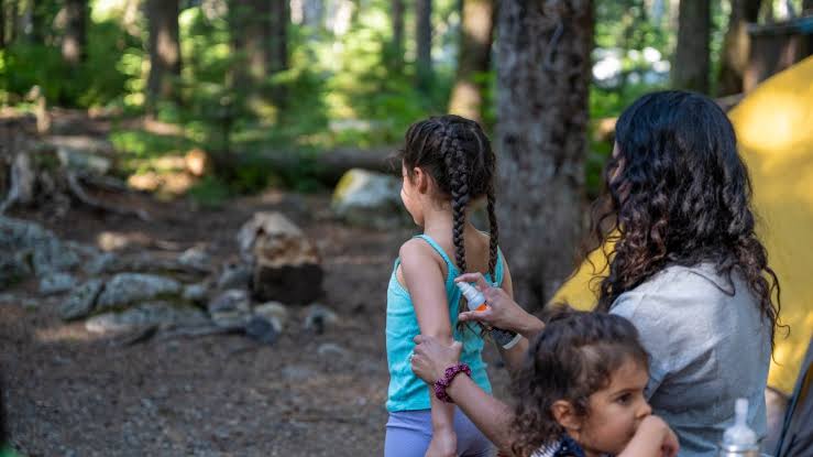 Experts advise caution with tick numbers high in Northeast