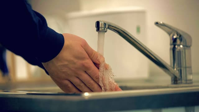 Wayne County health officials track 27 potential cyclosporiasis cases amid growing Michigan outbreak