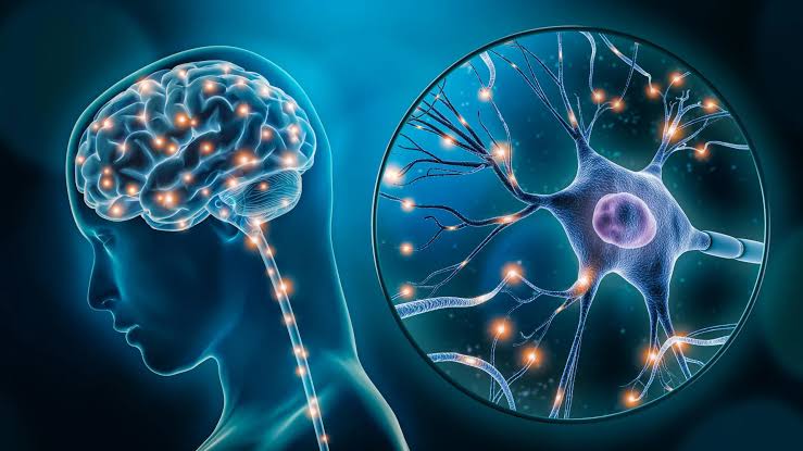 For the first time, scientists pinpoint the brain cells behind depression