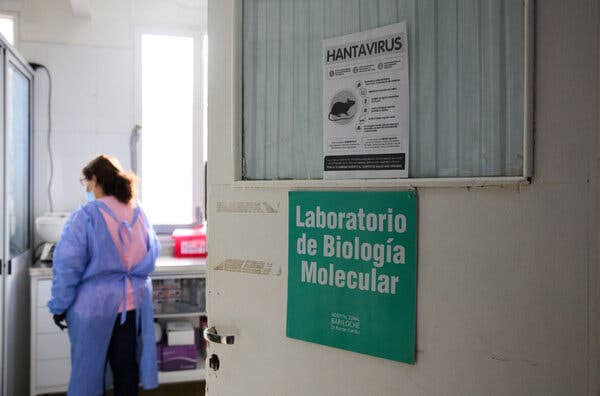Argentina Races To Find Origin of Hantavirus Outbreak
