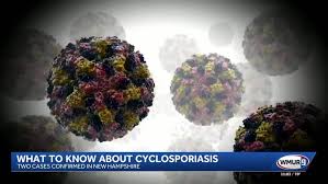 What to know: Two cases of cyclosporiasis confirmed in NH, DHHS says