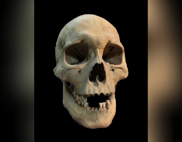 New evidence of origin of the black death a ‘complete surprise’ experts say