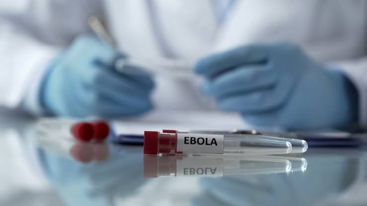 Mapp, Gilead antivirals to be deployed in DRC Ebola trial: WHO chief