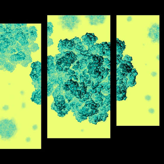 A Very Contagious Virus Is on the Rise, but Doctors Say Doing This One Simple Thing Will Keep You Safe