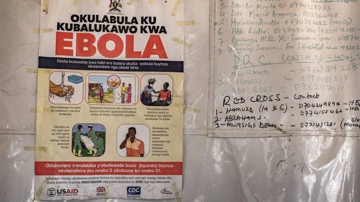Dr. Oz Says Airports Will Have Ebola ‘Testing Tools’ Before World Cup (Live Updates)