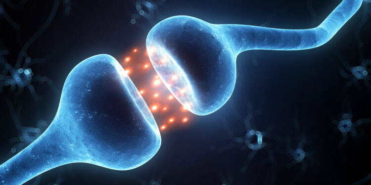 Long COVID symptoms linked to measurable damage in the brain’s dopamine system