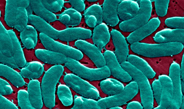 Flesh-eating bacteria devour man’s arm and leg in just three days