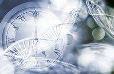 Multi-Tissue Transcriptomic Clocks Offer Clues to Mammalian Aging, Mortality