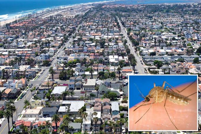 Urgent warning as brain-swelling disease surges in multiple Southern California neighborhoods