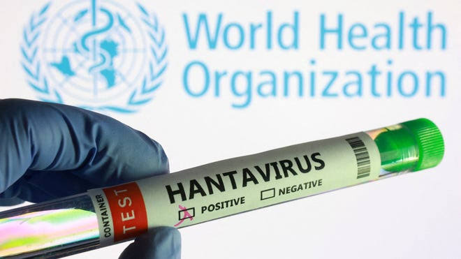 Canada confirms first suspected hantavirus case linked to cruise ship